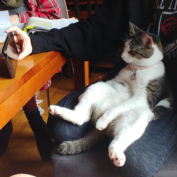 Meet your Posher, Devin - Picture 1 of 1